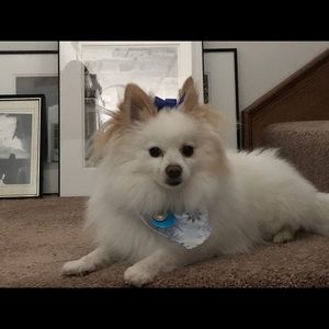 Meet your Posher, Cynthia